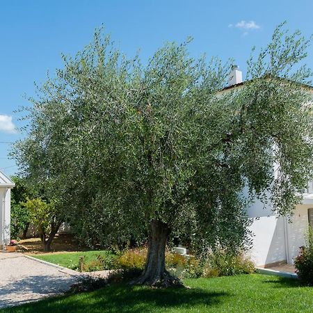 אורטונה B&B Casale Savini מראה חיצוני תמונה