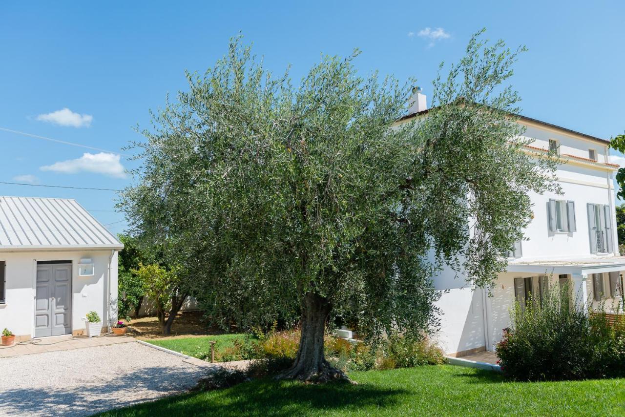 אורטונה B&B Casale Savini מראה חיצוני תמונה